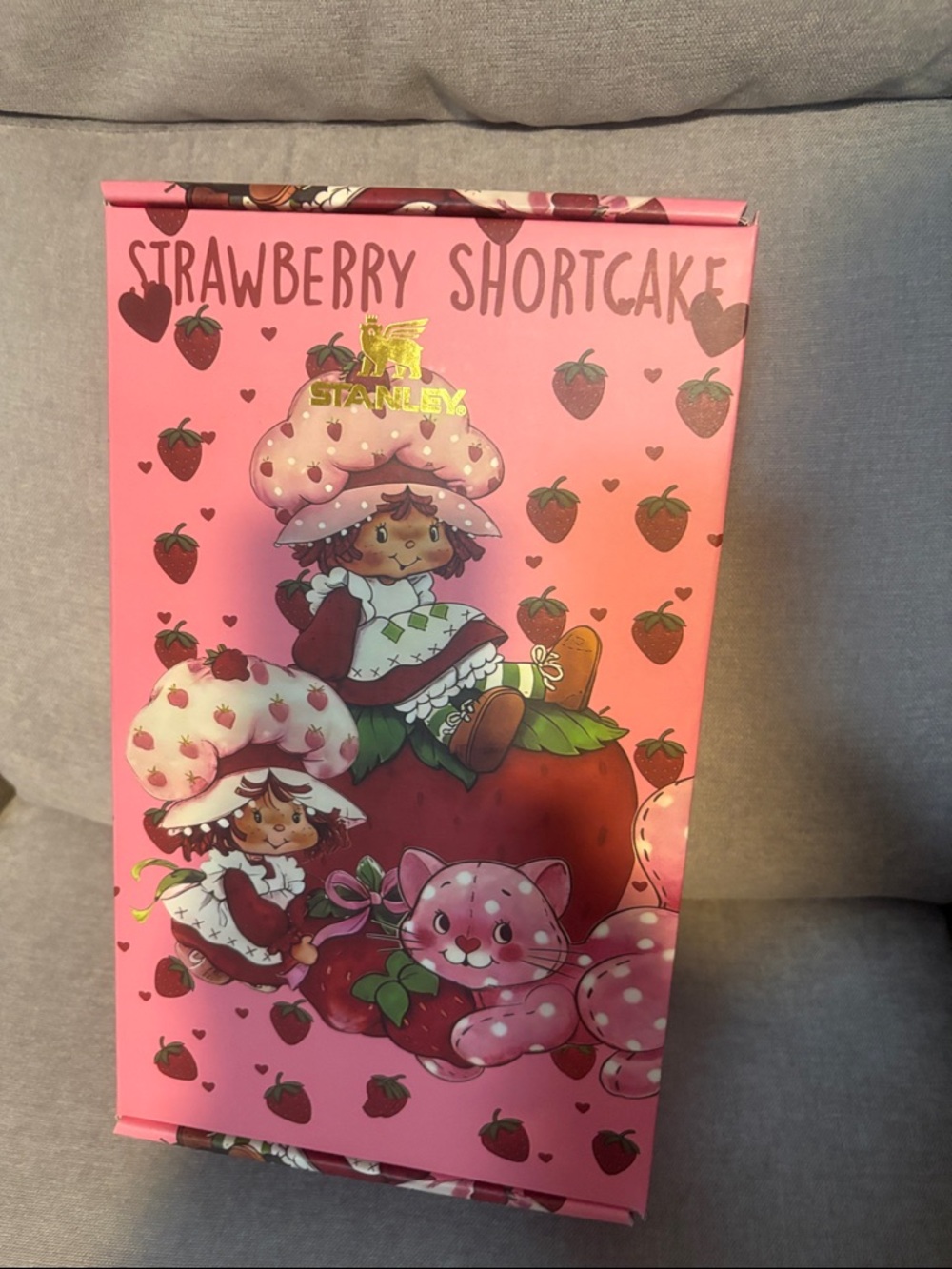 Stanley Pink Strawberry Shortcake Decorative Tumbler